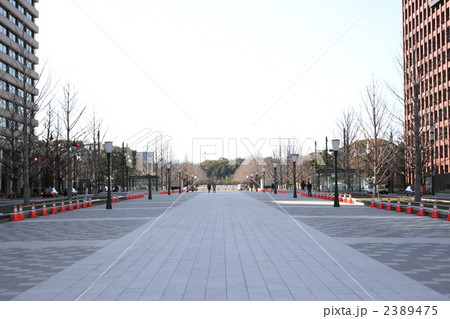 行幸通り 行幸通り 2389475