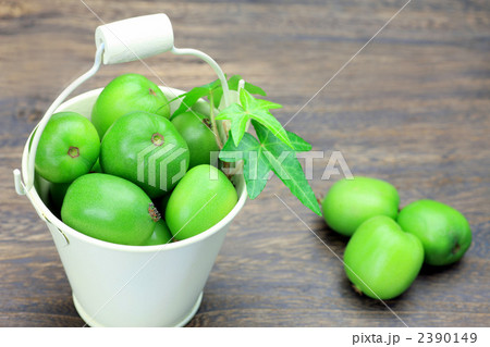 ベビーキウイ 2390149