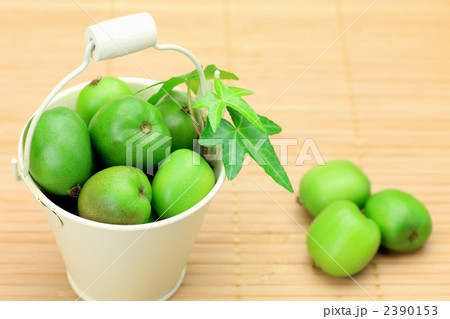 ベビーキウイ ベビーキウイ 2390153