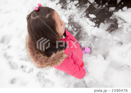 2 years old 2 years old 2390476