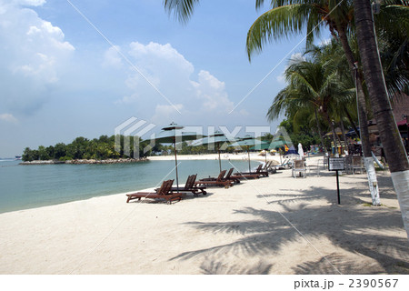 セントーサ 2390567