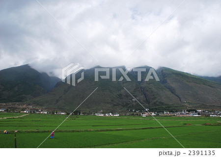 田園 2391135