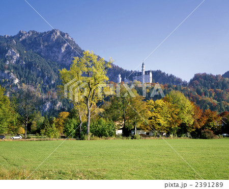 ノイシュバンシュタイン城の秋 2391289