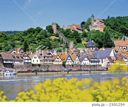 ヒルシュホルンとネッカー川 ヒルシュホルンとネッカー川 2391294