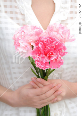 カーネーションを持つ女性 カーネーションを持つ女性 2392142