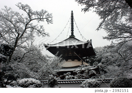 久々に降った雪。根来寺の大塔も雪化粧 2392151