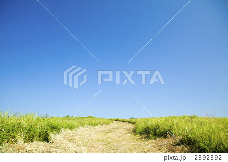 草原と砂利道と青空 2392392