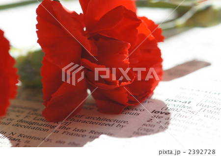 赤いカーネーションとLOVE 2392728