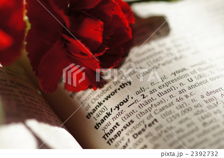 感謝を込めてカーネーション 2392732