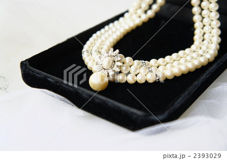 アクセサリー 2393029