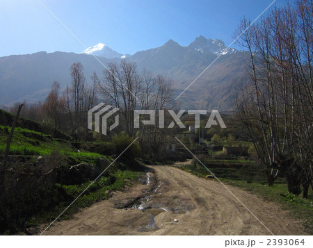 ジャルコット ジャルコット 2393064