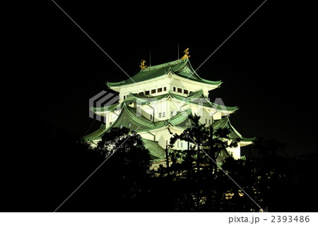 夜の名古屋城ライトアップ 2393486