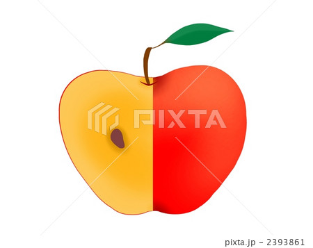 切ったりんご 切ったりんご 2393861