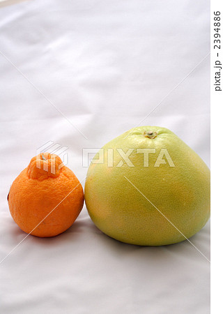 デコポンとメロゴールド 2394886