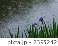 2395242