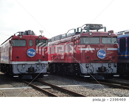 EF81 北斗星 JR EF81形電気機関車(北斗星色) ｜製品情報｜製品検索｜鉄道模型