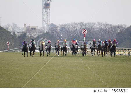競馬場・ゴール前の叩き合い 競馬場・ゴール前の叩き合い 2398334
