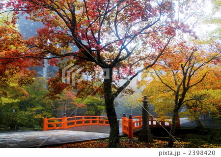高野山の紅葉 2398420