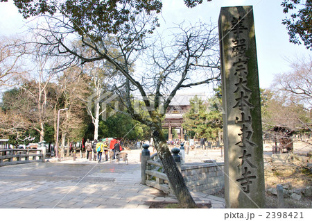 東大寺参道脇の石碑 2398421