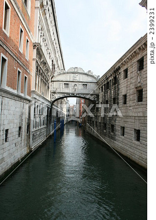 ベネチア*5 ベネチア*5 2399231