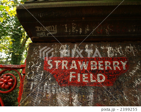 ストロベリー・フィールド 2399255