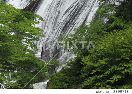 新緑 袋田の滝 青葉と白い水の流れ ピントは滝にあります 新緑 袋田の滝 青葉と白い水の流れ ピントは滝にあります 2399713