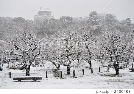 雪の日の梅林 2400408