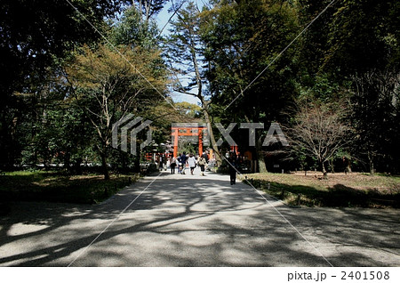 下鴨神社 糺の森 2401508