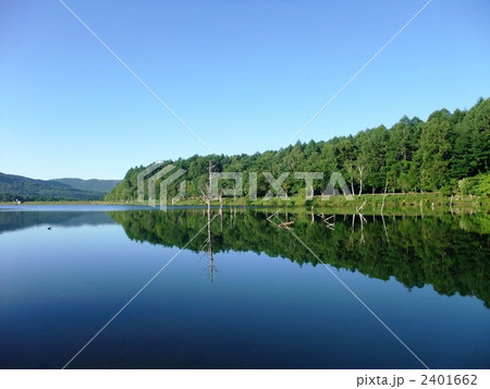 青空の女神湖 2401662