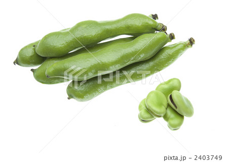 そら豆素材 2403749
