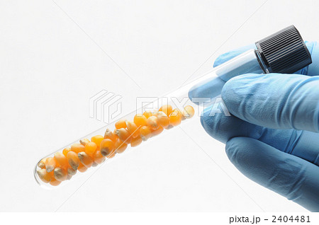 研究イメージ 2404481