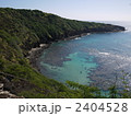 ハワイのハナウマ湾 2404528