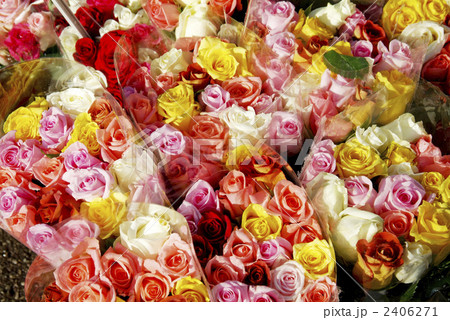 マルセイユの花市場 2406271