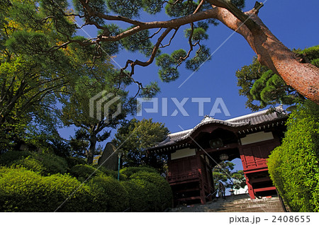 護国寺の不老門 護国寺の不老門 2408655