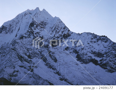 朝　日が当たる前のタムセルク（6623m）　　ネパール　マッチェルモにて　 2409177