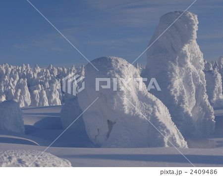 2011/2/2:蔵王温泉樹氷 2011/2/2:蔵王温泉樹氷 2409486