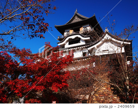紅葉の犬山城 2409659