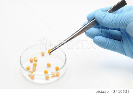 研究イメージ 研究イメージ 2410532