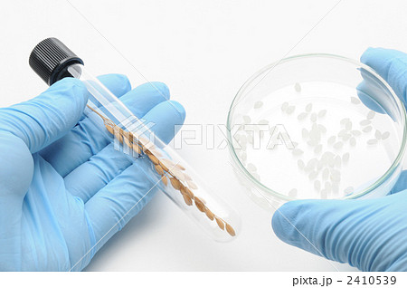 研究イメージ 研究イメージ 2410539
