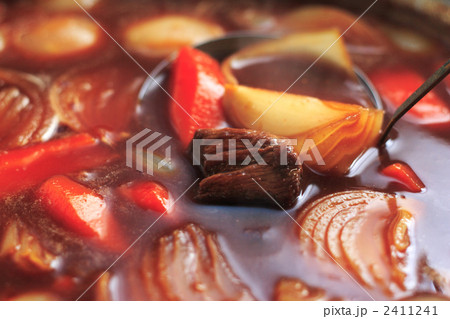 お玉とビーフシチュー 2411241