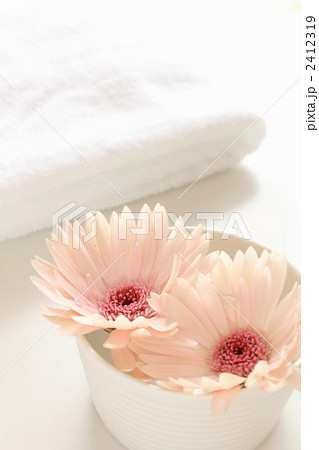 アメニティ アメニティ 2412319