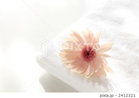 アメニティ アメニティ 2412321