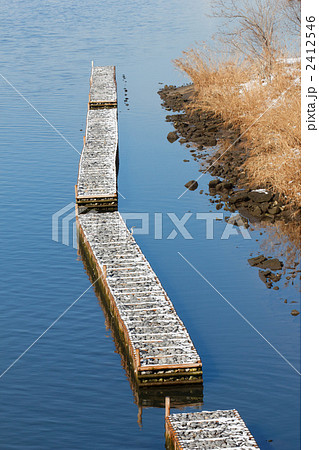 荒川の雪景色と柵の上で休憩するアオサギ 荒川の雪景色と柵の上で休憩するアオサギ 2412546