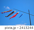 青空のこいのぼり 2413244