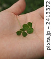 てのひらのクローバー 2413372