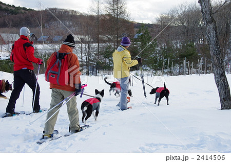 スノーシュー 2414506