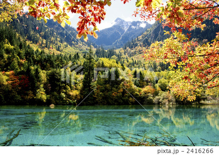 九寨溝の五花海 九寨溝の五花海 2416266