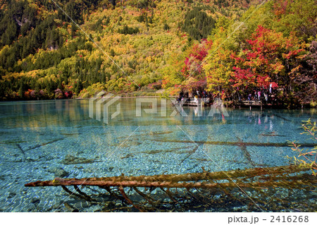 九寨溝の五花海 2416268