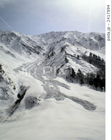 白馬BC雪崩現場 2417994