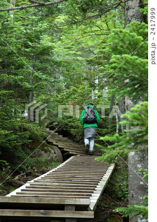 北奥千丈岳登山 2417999